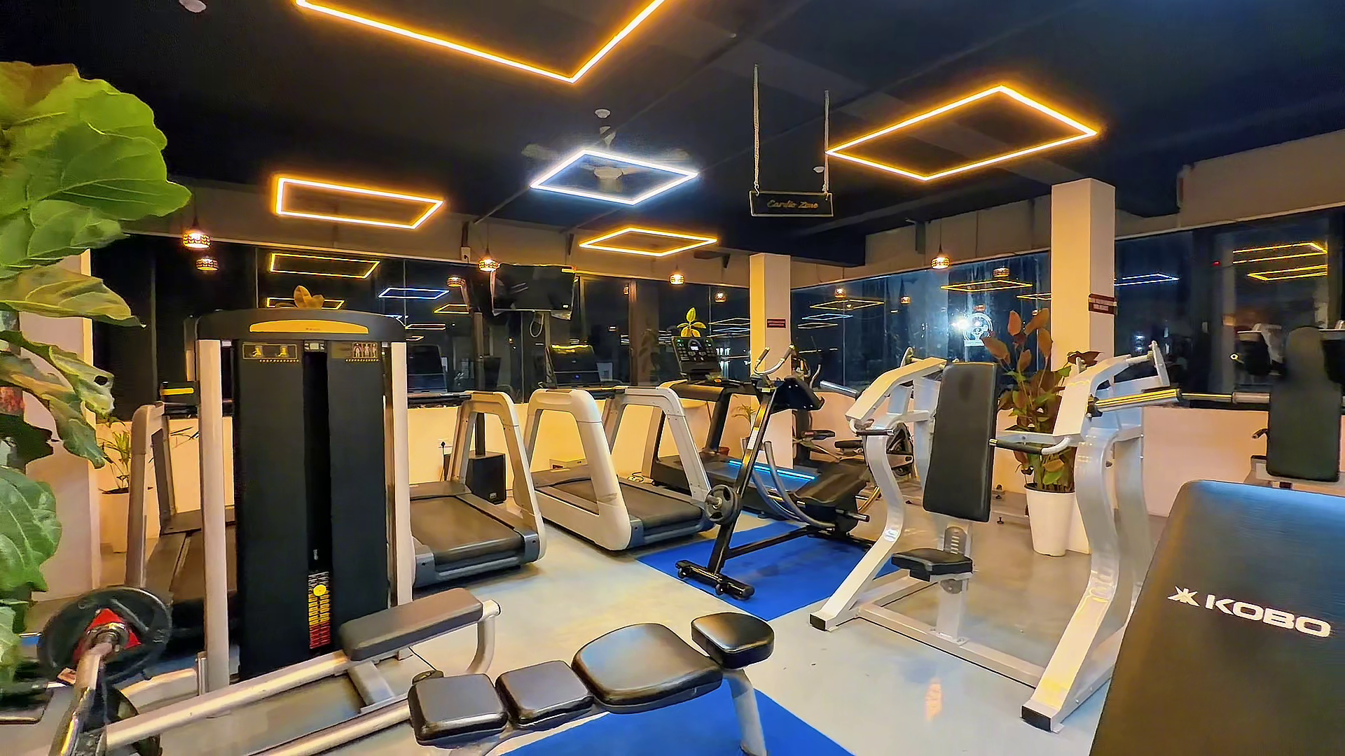 Heavy dumbbell rack and free weights